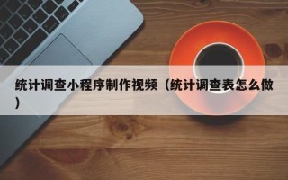 安顺统计调查小程序制作视频（统计调查表怎么做）