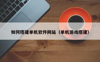 安顺如何搭建单机软件网站（单机游戏搭建）